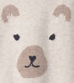 Hot Hatley Baby Bear Cub Pullover Sweater