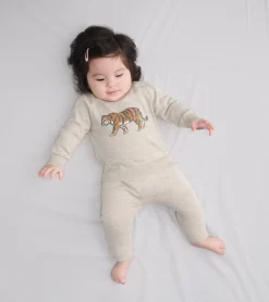 New Hatley Baby Boys Little Tiger Pullover Sweater & Pants