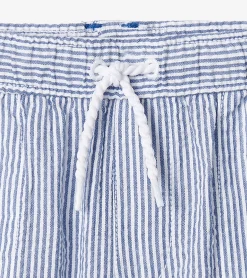 Online Hatley Boys Blue Stripes Woven Shorts