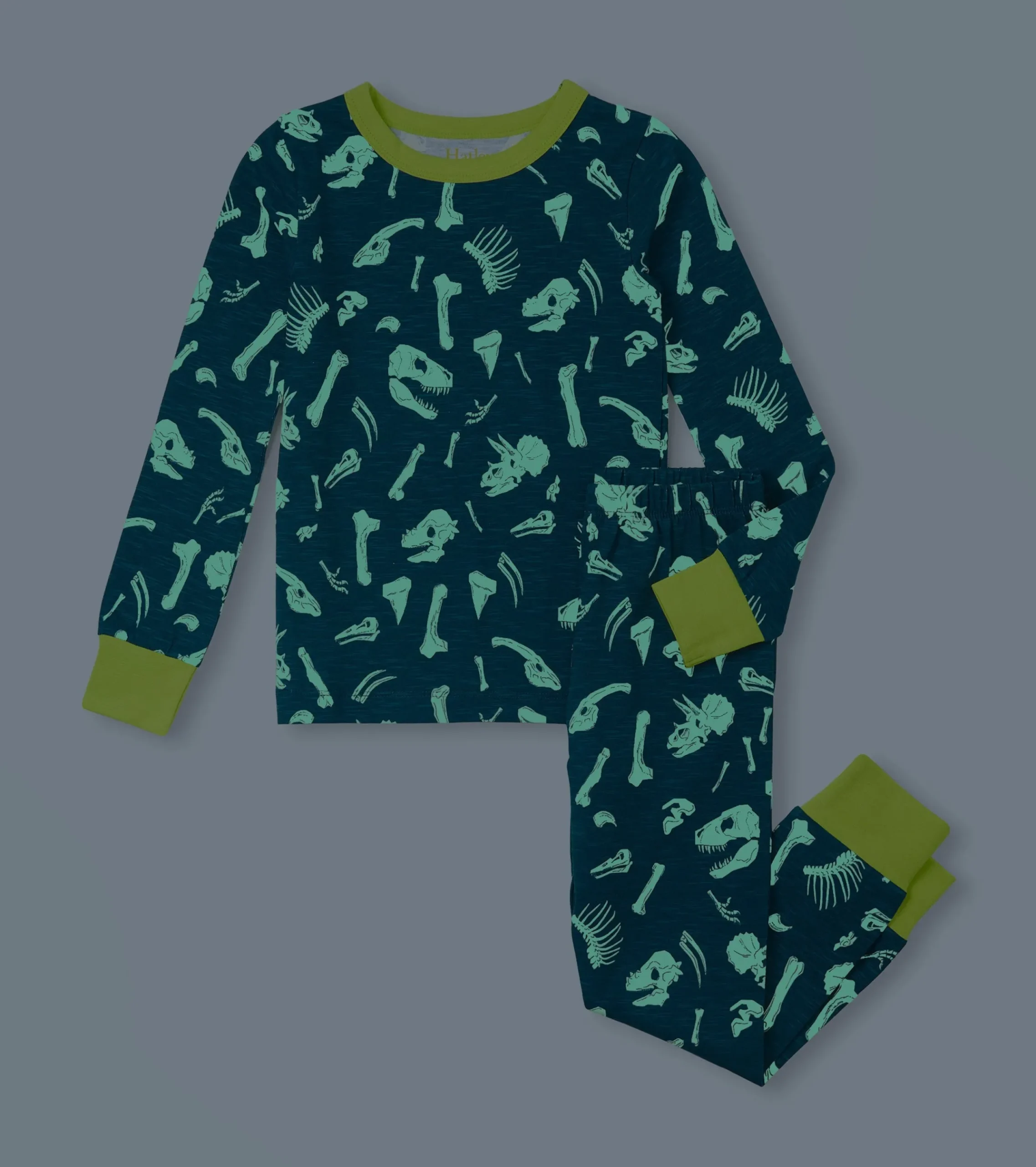 Sale Hatley Boys Dino Fossils Pajama Set