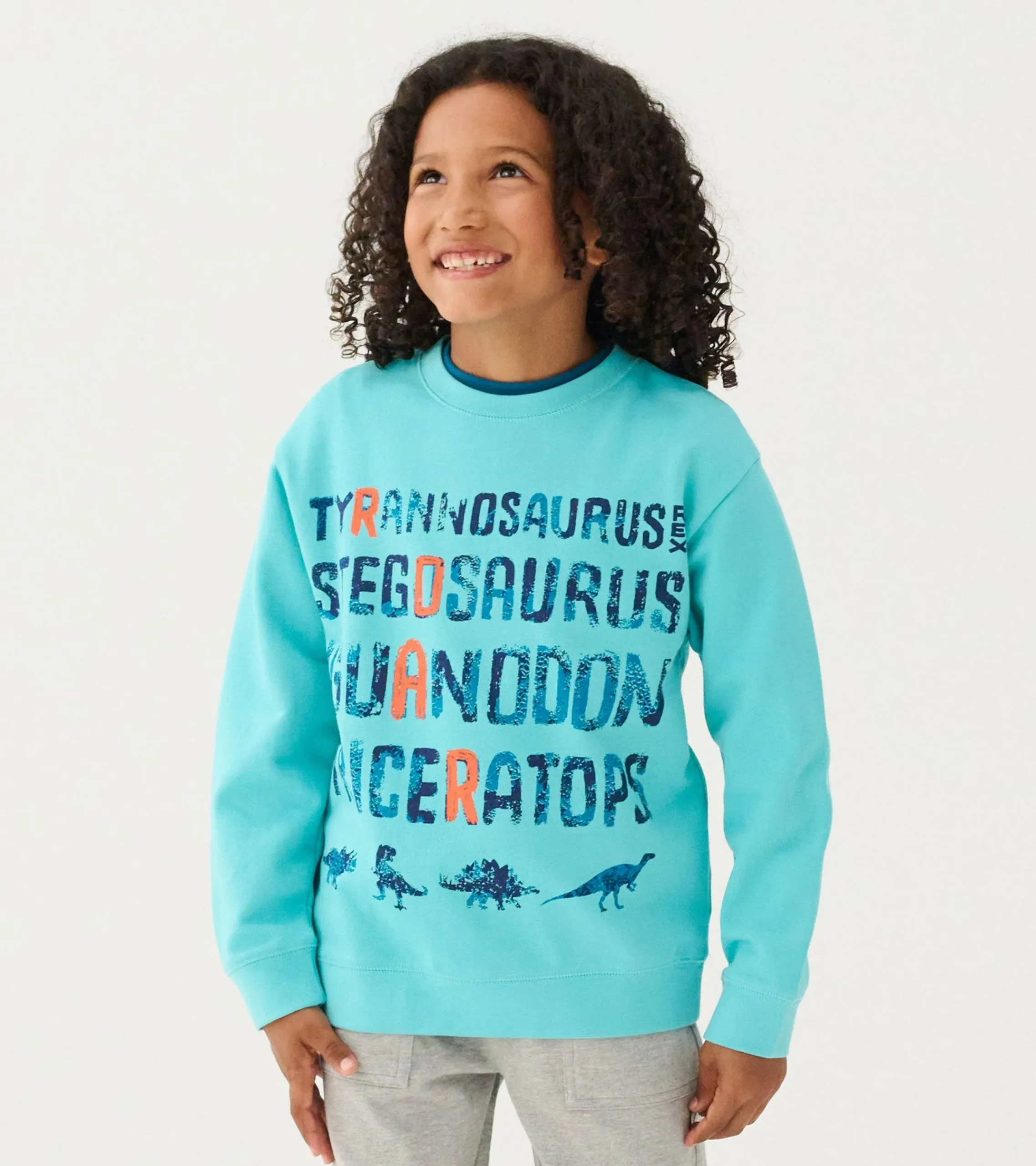 Outlet Hatley Boys Dinosaur Roar Sweatshirt