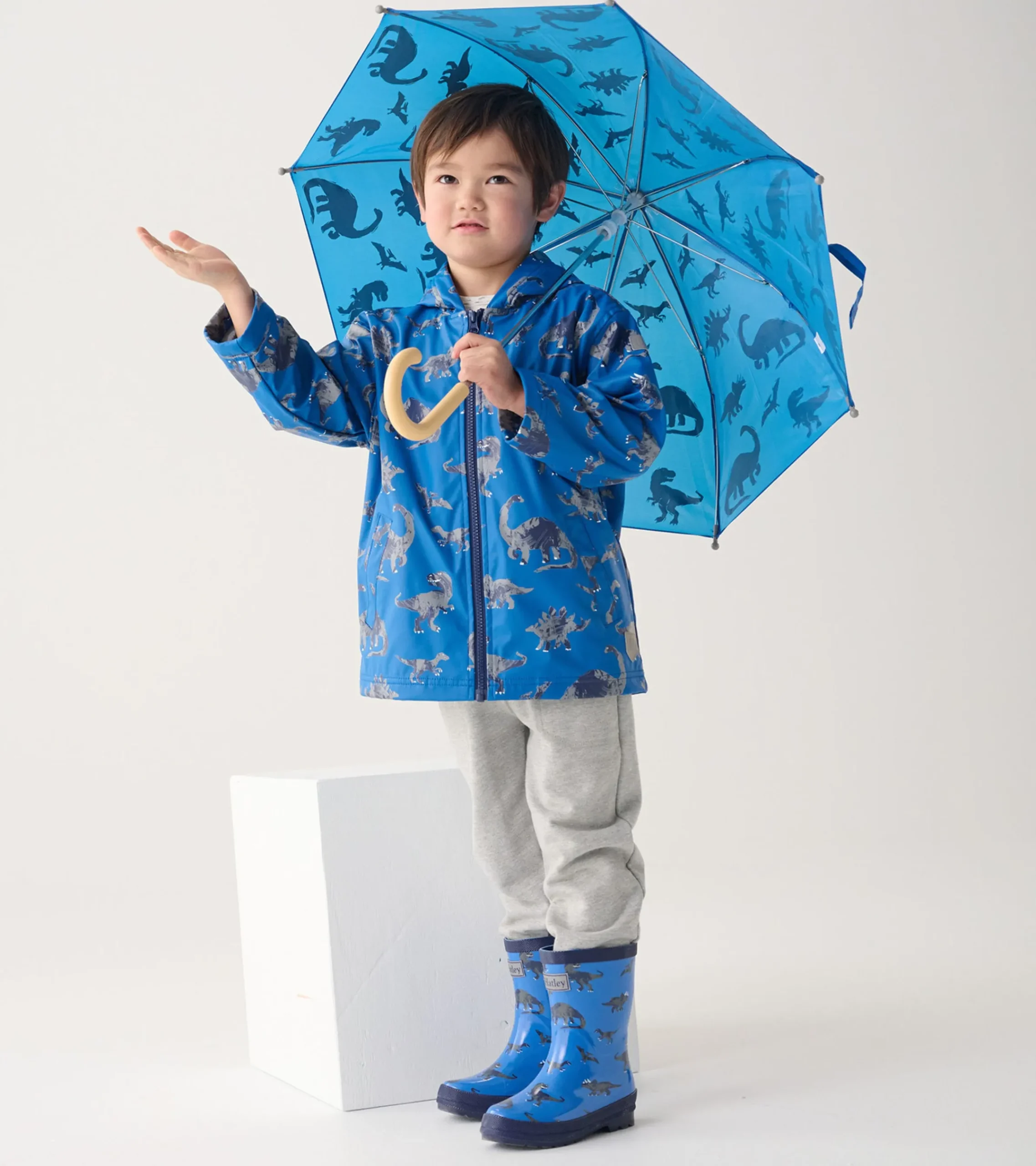 New Hatley Boys Dinosaur Zip-Up Rain Jacket