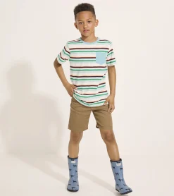 Hatley Boys Hiking Stripes Pocket Tee