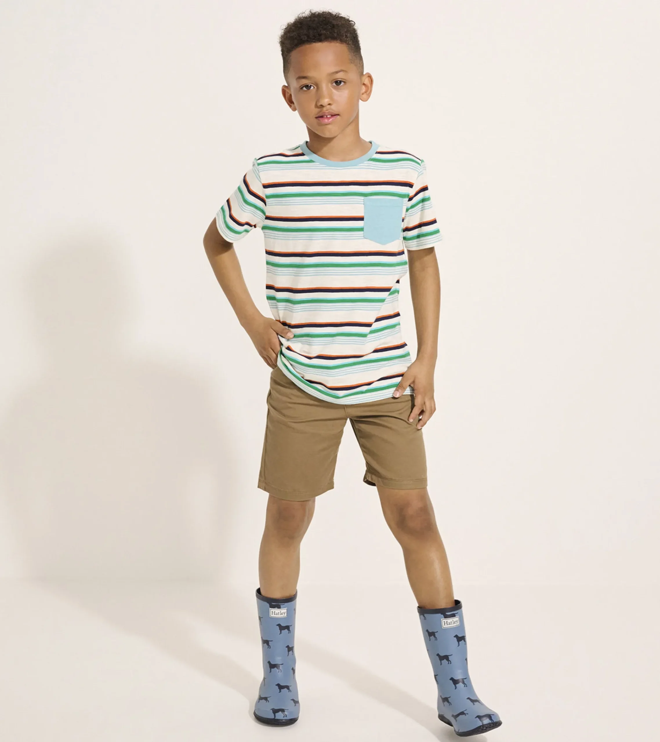 Hatley Boys Hiking Stripes Pocket Tee