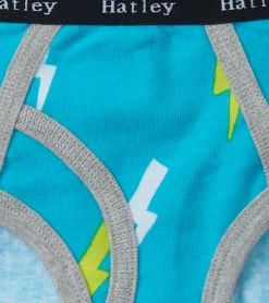 Hot Hatley Boys Silhouette Nature 3 Pack Classic Briefs