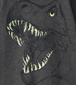 Best Hatley Boys T-Rex Glow in the Dark Long Sleeve T-Shirt