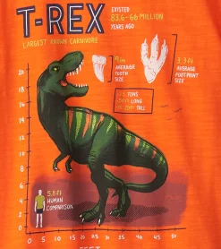 Online Hatley Boys T-Rex Graphic Tee