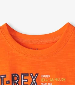 Online Hatley Boys T-Rex Graphic Tee