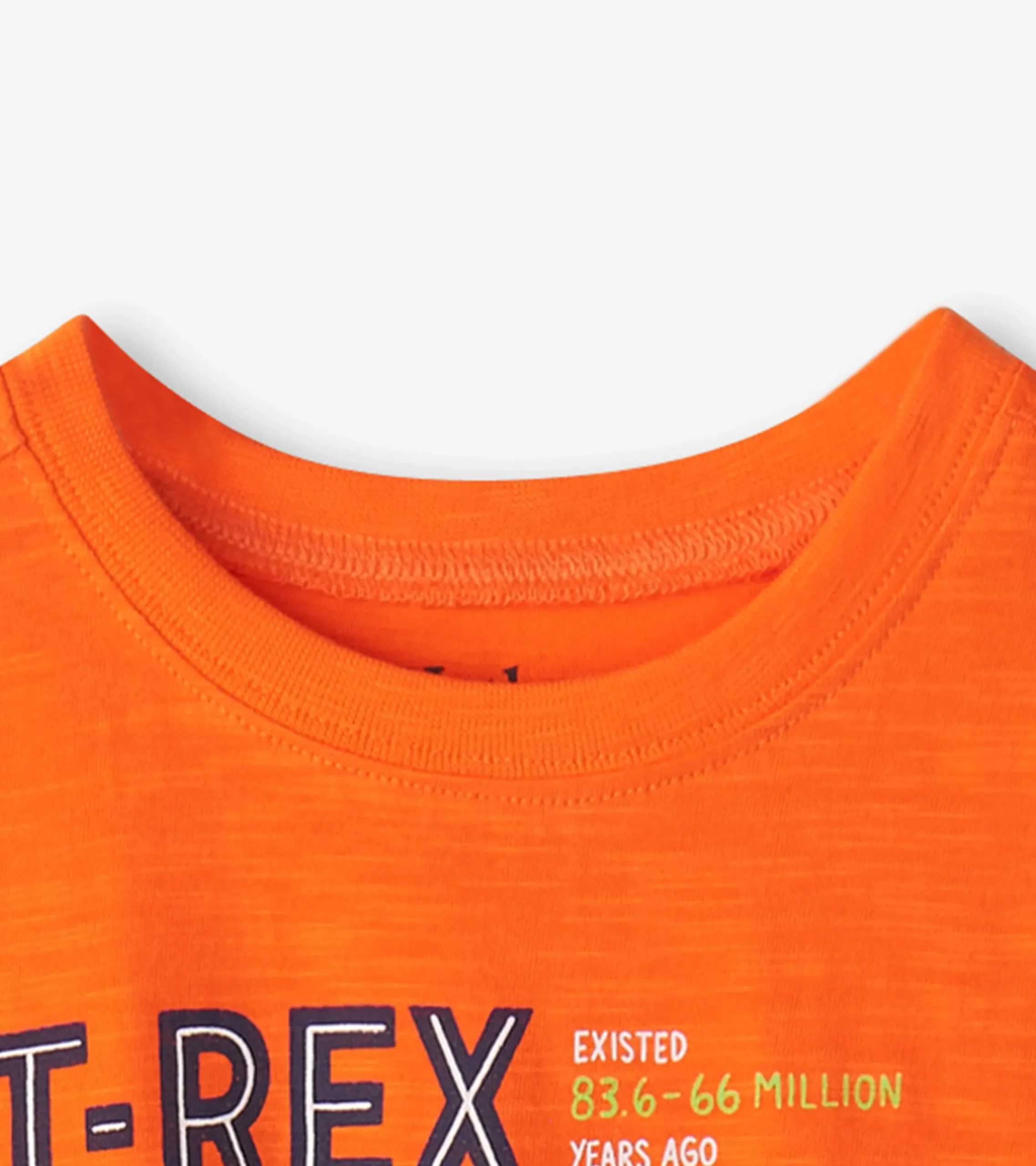 Online Hatley Boys T-Rex Graphic Tee