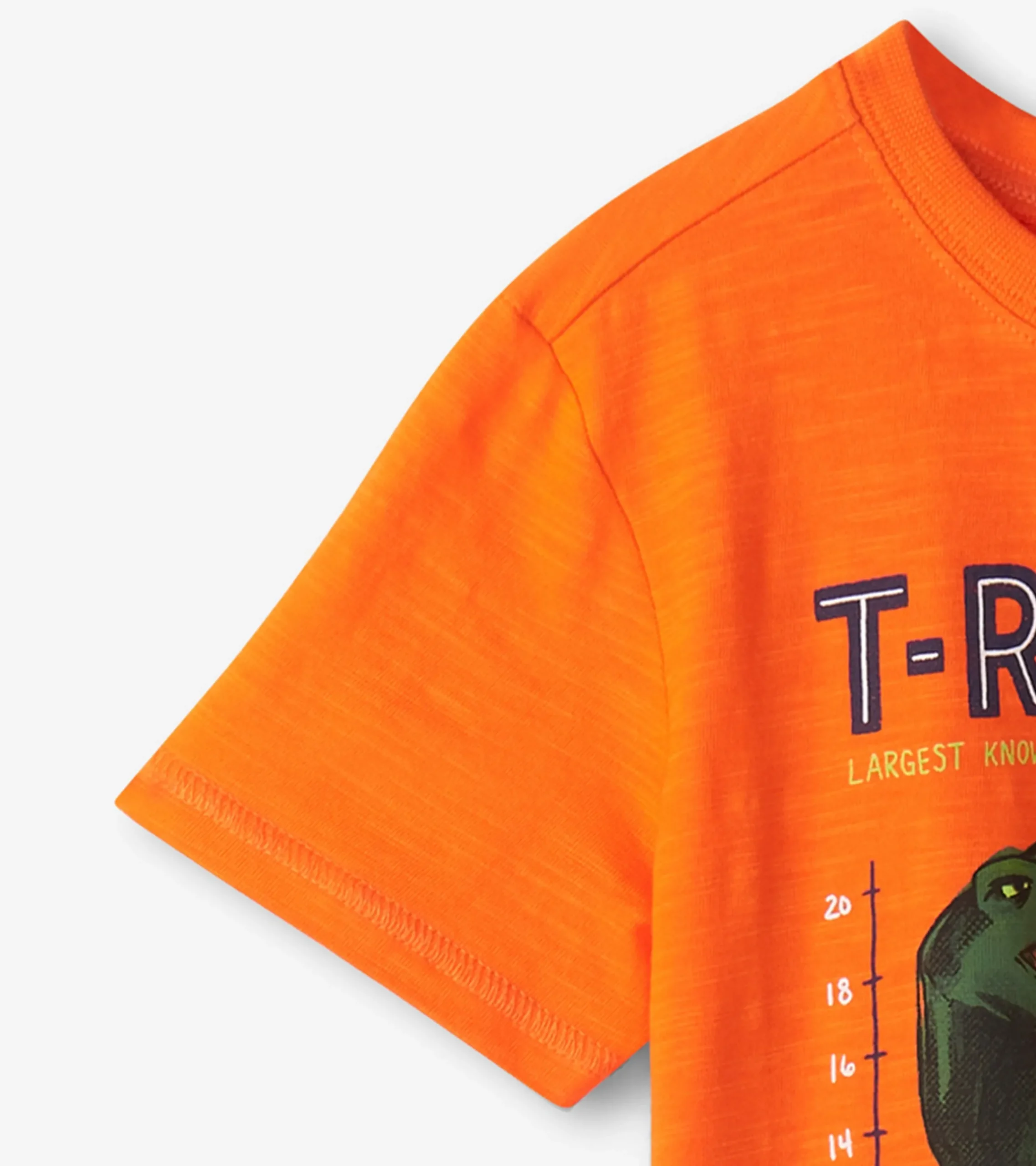 Online Hatley Boys T-Rex Graphic Tee