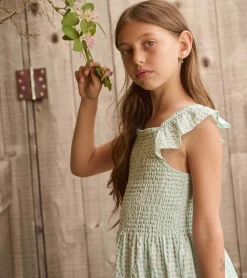 Hot Hatley Girls Gingham Seersucker Smocked Dress