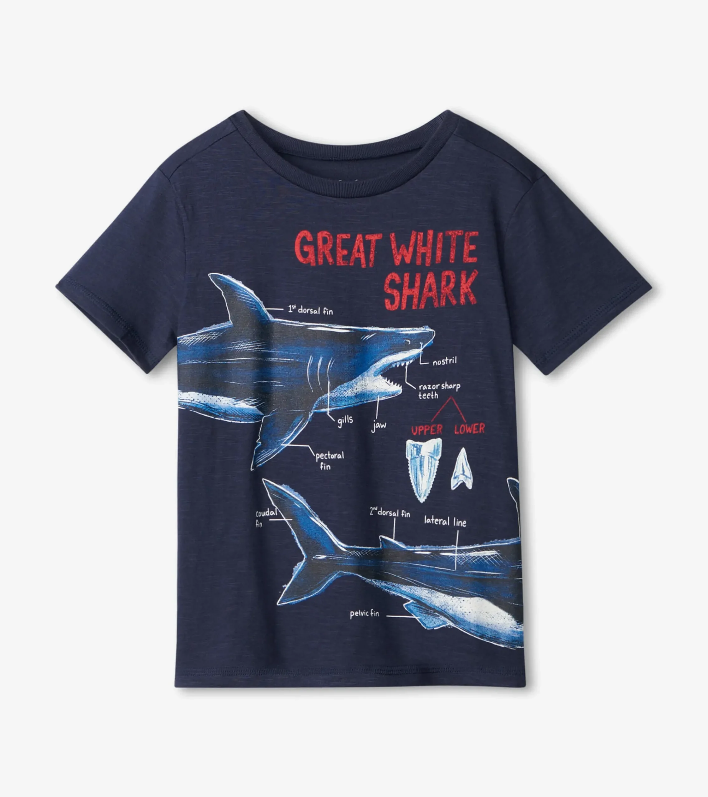Sale Hatley Great White Shark Graphic Tee